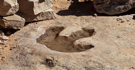 how do footprints get fossilized.